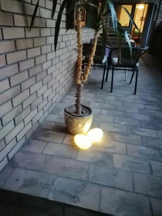 松博尔 Citadela酒店 外观 照片